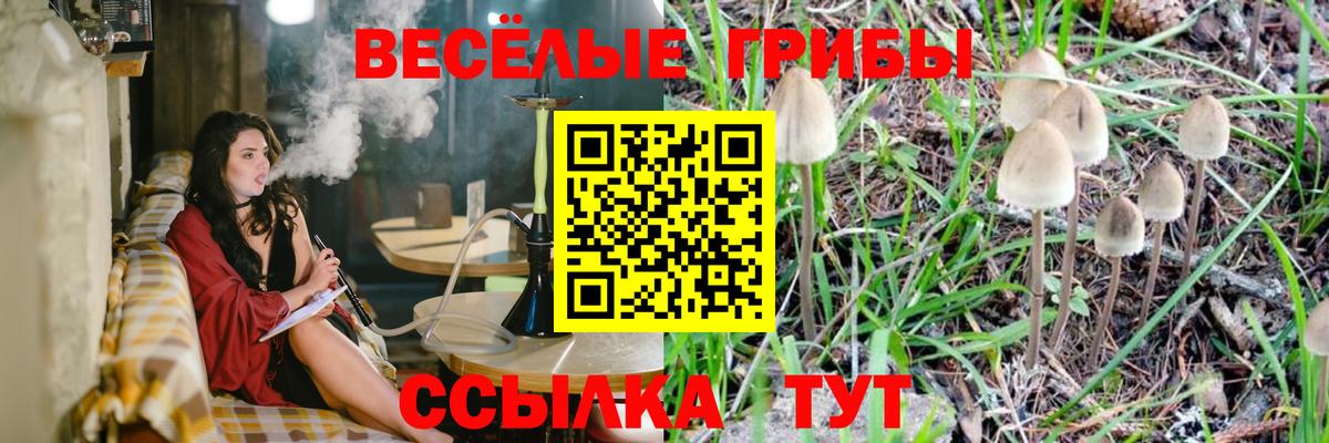 Псилоцибиновые грибы мицелий  Вход с VPN  Кропоткин  Галлюциногенные грибы Magic Shrooms 